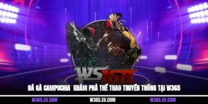 Đá Gà Campuchia - Khám Phá Thể Thao Truyền Thống Tại W365