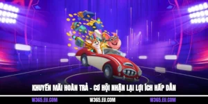 Khuyến Mãi Hoàn Trả – Cơ Hội Nhận Lại Lợi Ích Hấp Dẫn