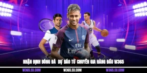 Nhận Định Bóng Đá - Dự Báo Từ Chuyên Gia Hàng Đầu W365