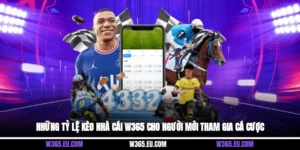 Những Tỷ Lệ Kèo Nhà Cái W365 Cho Người Mới Tham Gia Cá Cược
